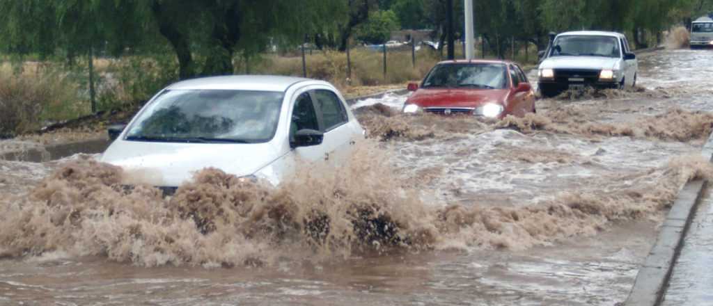 Reporte de daños de la tormenta en Mendoza