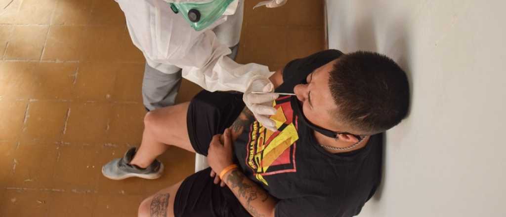 Mendoza registró 8 muertos y 1.603 nuevos casos de coronavirus