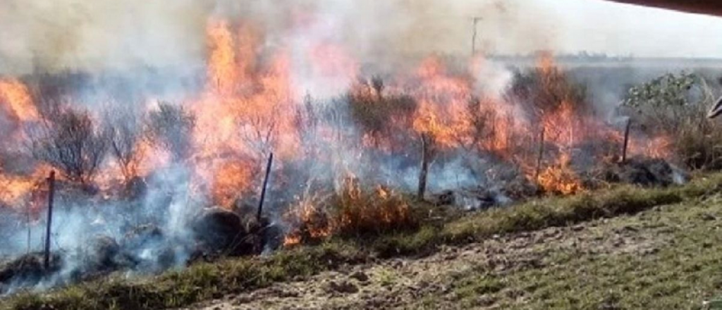 Los incendios forestales azotan Corrientes: "La provincia está ardiendo"