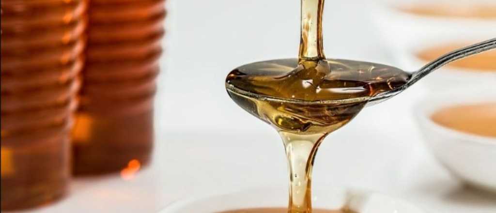 Estos son los alimentos "antibi&oacute;ticos" que com&eacute;s y no lo sab&iacute;as