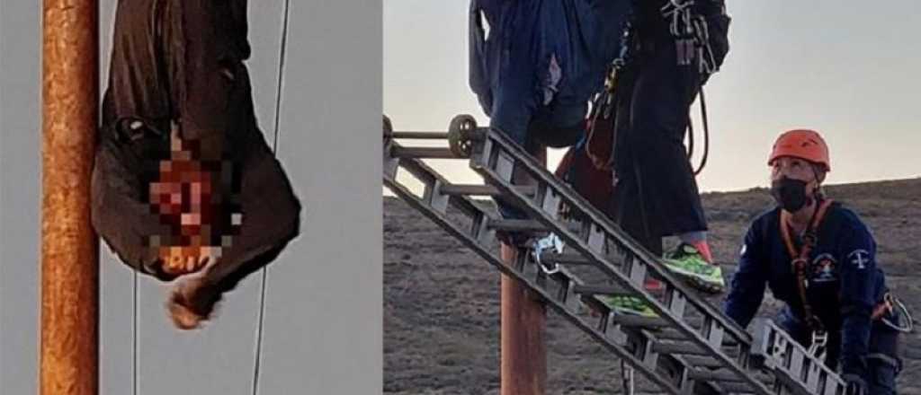 El ladrón de cables rescatado de un poste perderá un brazo