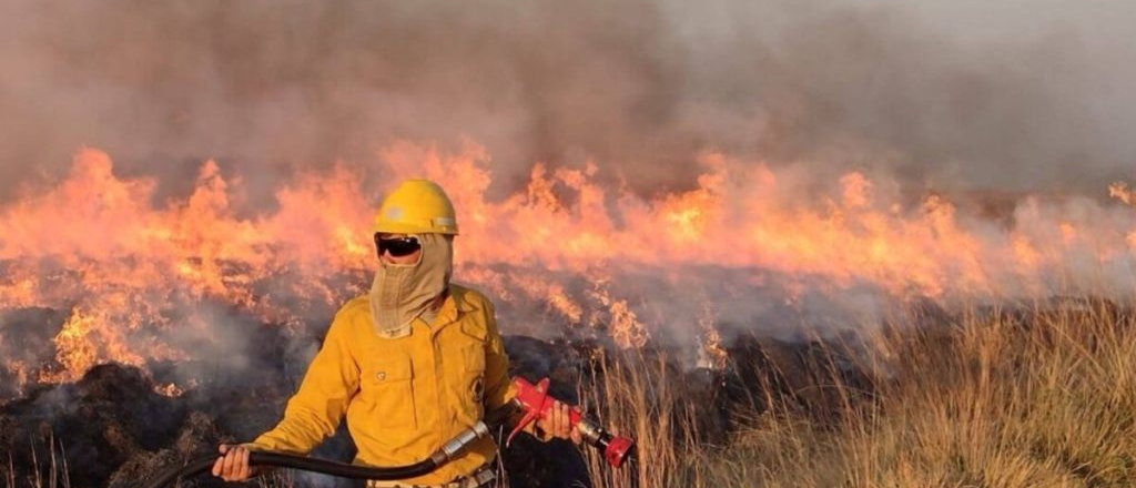 Incendios en Corrientes: productores le piden al Gobierno apoyo impositivo