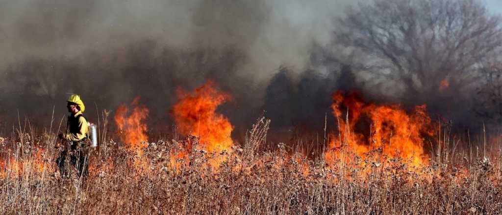 El drama por los incendios en Corrientes y una foto que lo dice todo