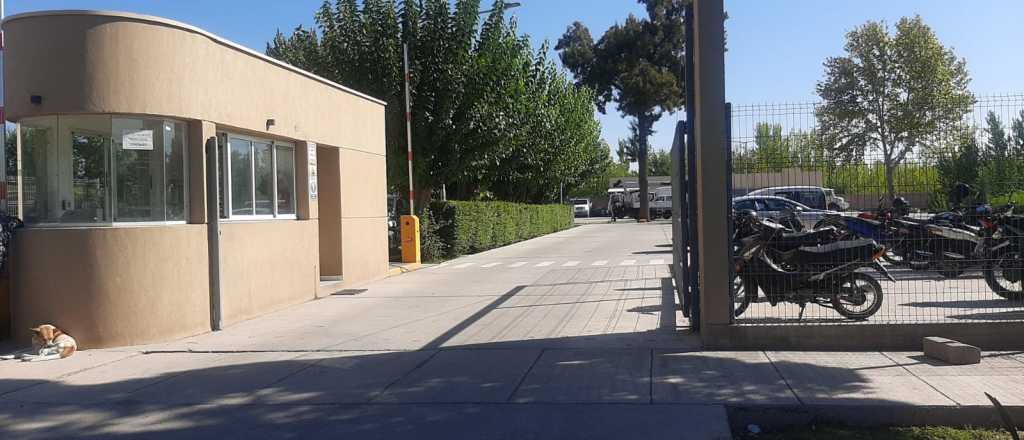 Millonario robo de motosierras en un vivero en Guaymall&eacute;n