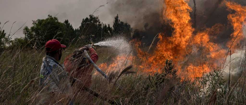 Valdés y el incendio en Corrientes: "Sólo la lluvia intensa podrá apagarlo"