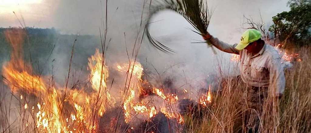 Declaran catástrofe ecológico y ambiental en Corrientes por los incendios