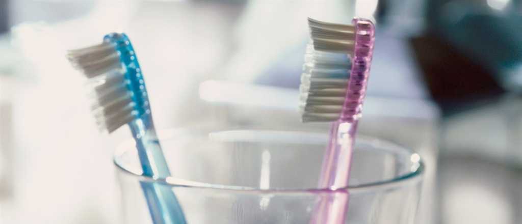As&iacute; deber&iacute;as lavar tu cepillo de dientes para eliminar bacterias