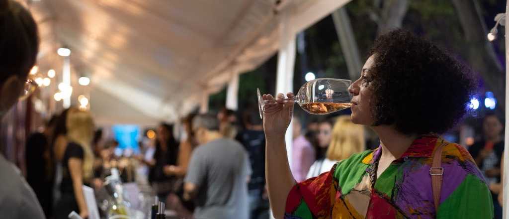 Dos degustaciones de vinos imperdibles para esta semana