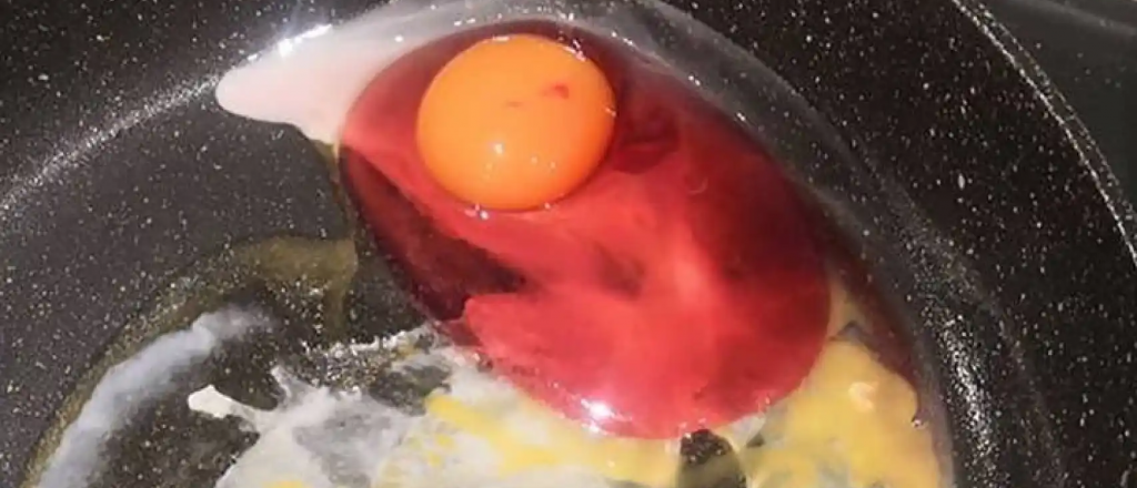 El peligro de consumir un huevo que sale con clara roja