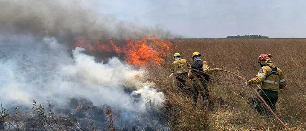 En Corrientes estiman pérdidas por $67.300 millones por los incendios