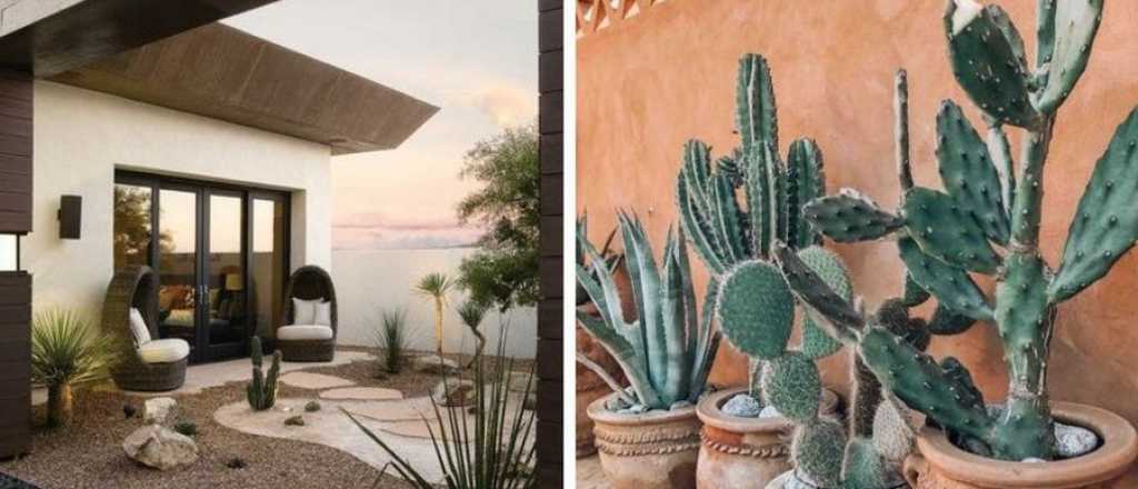 As&iacute; pod&eacute;s dise&ntilde;ar tu patio para que parezca un desierto