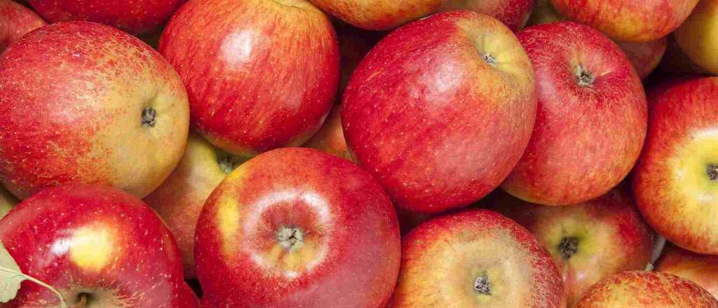 Reto visual: encontr&aacute; la manzana en menos de diez segundos