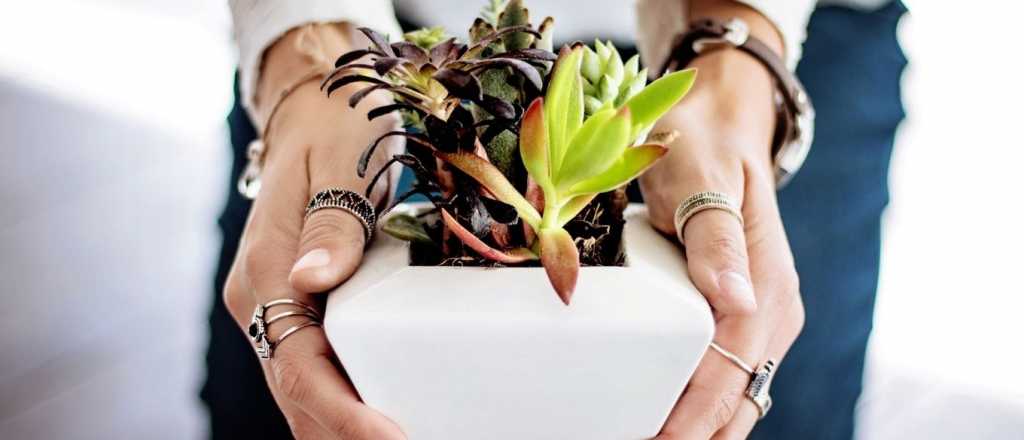 &iexcl;Atenci&oacute;n! Los fertilizantes naturales que pod&eacute;s estar usando mal