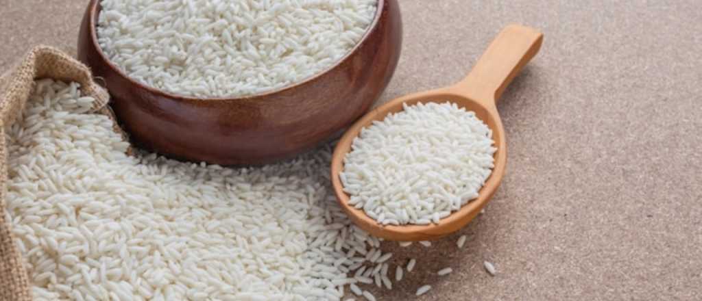 Para qué sirve el arroz crudo en las plantas