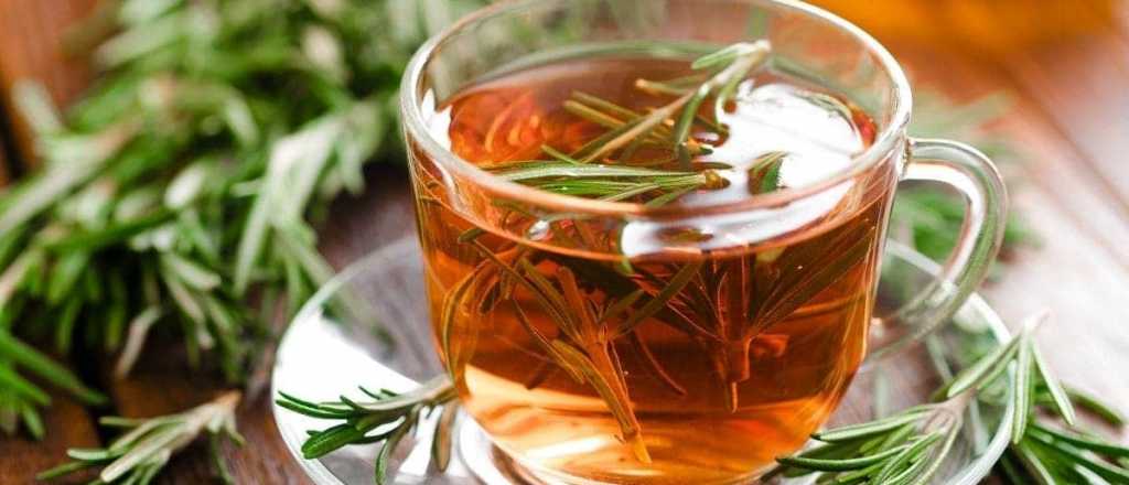 El té de romero un aliado para mejorar tu memoria 