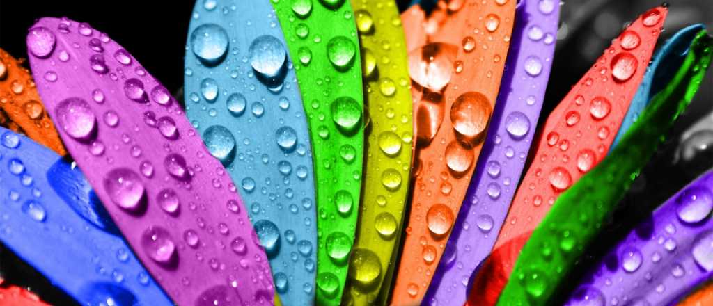 6 colores que te ayudar&aacute;n a aumentar tu productividad en el trabajo