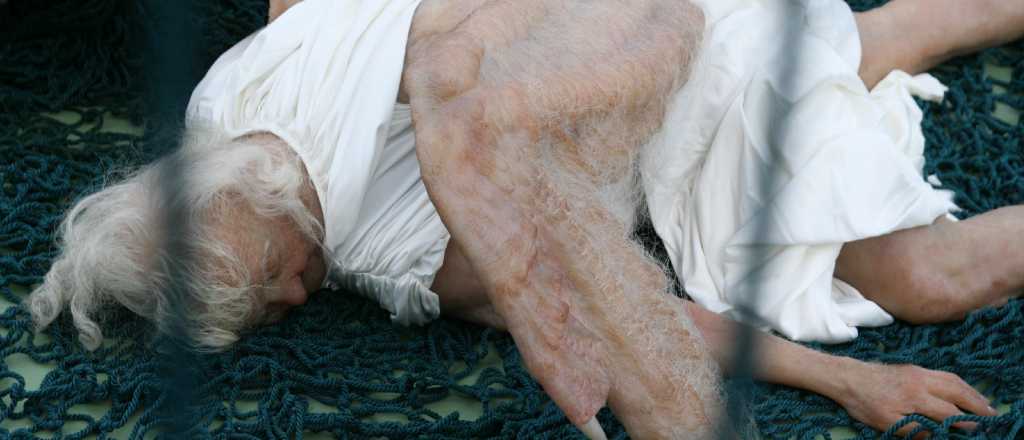 Las impresionantes imágenes de un "ángel caído" que conmueven al mundo