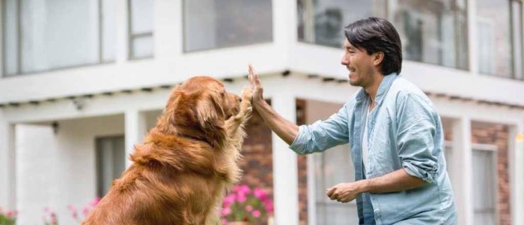 ¿Cómo hacer para que tu perro no te siga a todos lados?