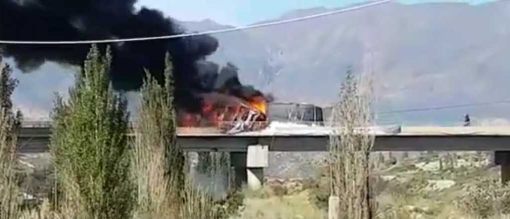 Video: un camión se incendió en Potrerillos