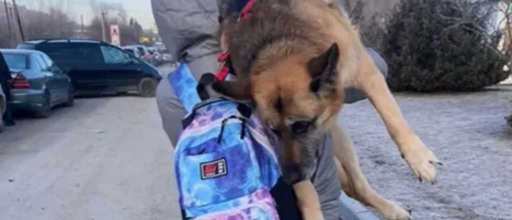 Una ucraniana caminó 17 kilómetros cargando a su perra para huir de la guerra