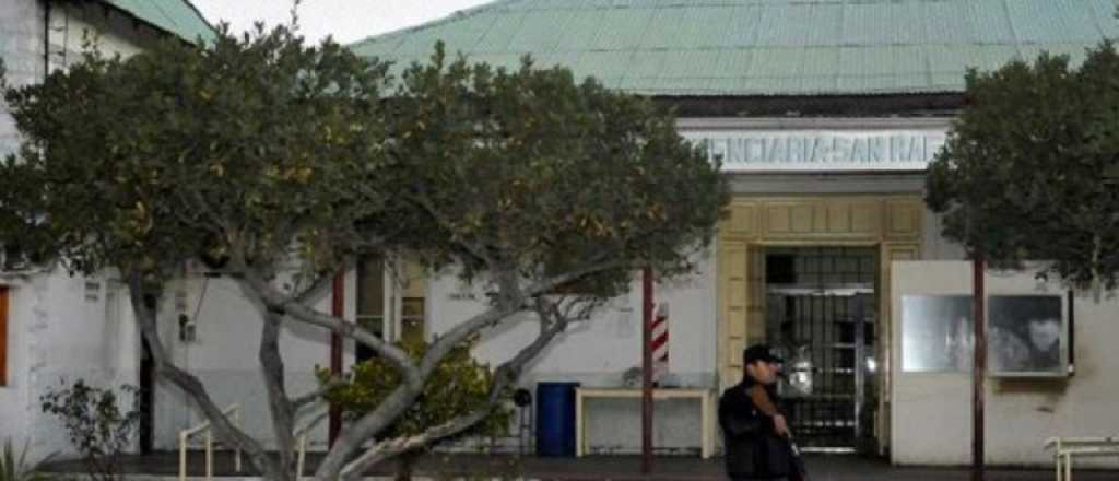 Intent&oacute; entrar marihuana oculta en zanahorias a la c&aacute;rcel de San Rafael 