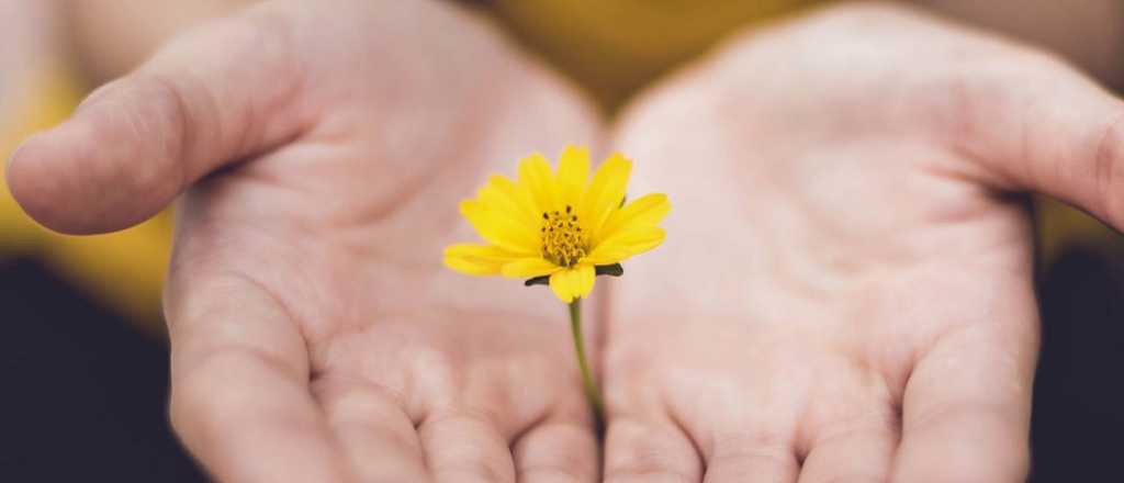 Estos son los 4 signos más generosos del zodiaco