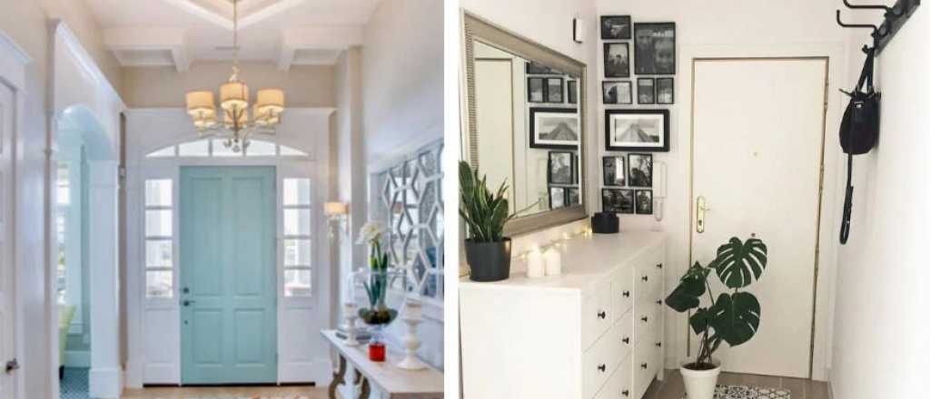 Estas son las plantas ideales para el recibidor de tu casa