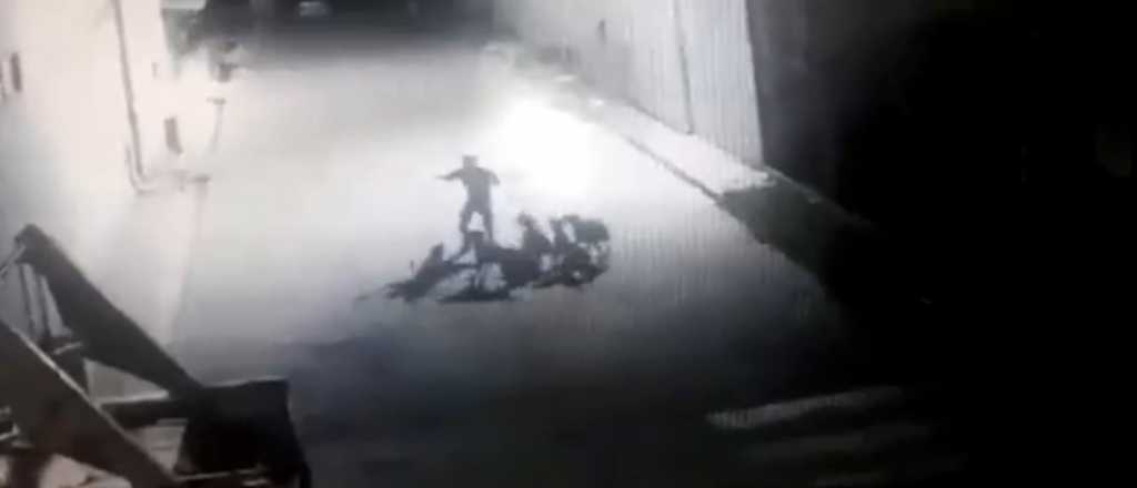 Video: la jauría que mató al empleado sanjuanino ya había atacado antes