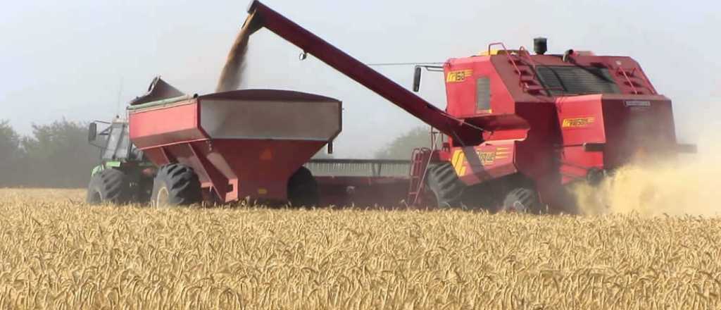 Avanza el fideicomiso para el trigo: el gobierno fijó los precios de la harina