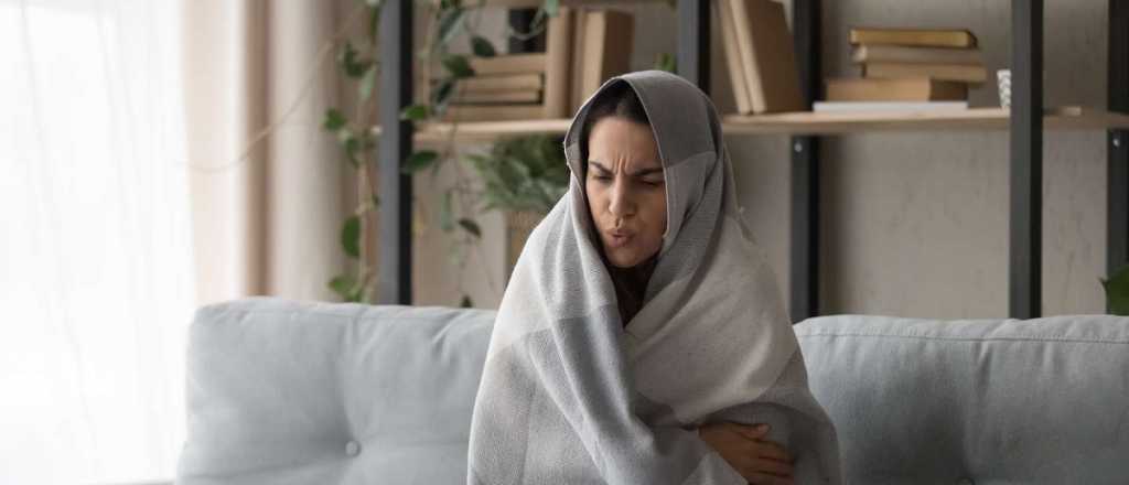 As&iacute; pod&eacute;s calentar tus ambientes sin gastar gas ni luz