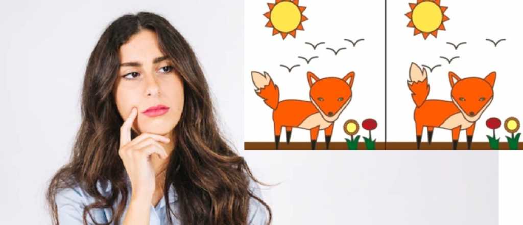 Encontr&aacute; el error y descubr&iacute; c&oacute;mo sos