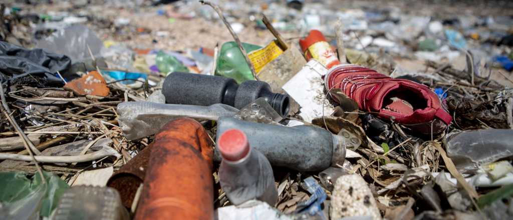 J&oacute;venes mendocinos producen bioetanol con residuos org&aacute;nicos