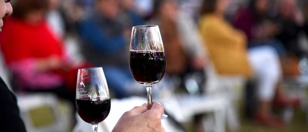 Fijan un nuevo m&iacute;nimo de tenor alcoh&oacute;lico para vinos Cosecha 2024