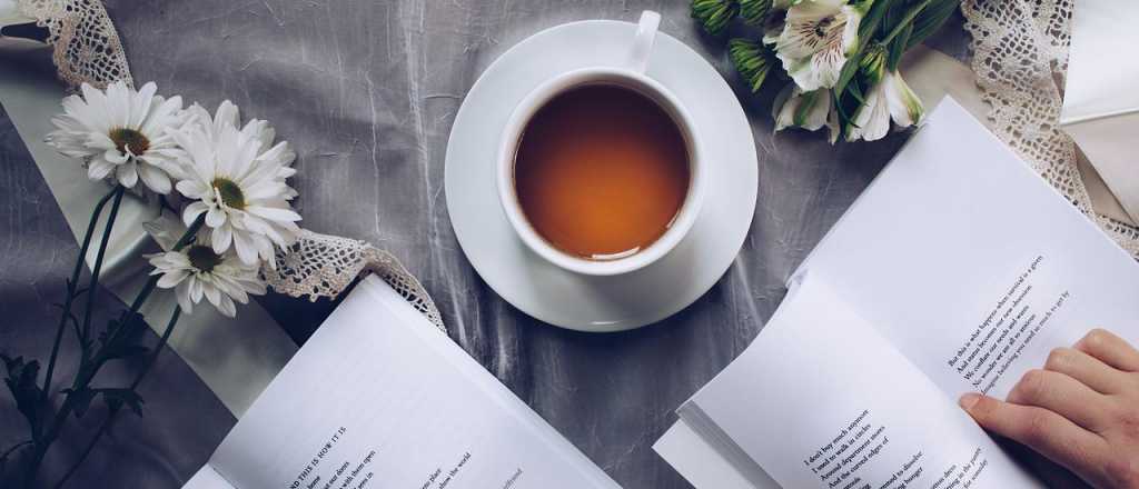 Los festejos en Lavalle por el D&iacute;a Internacional del Libro