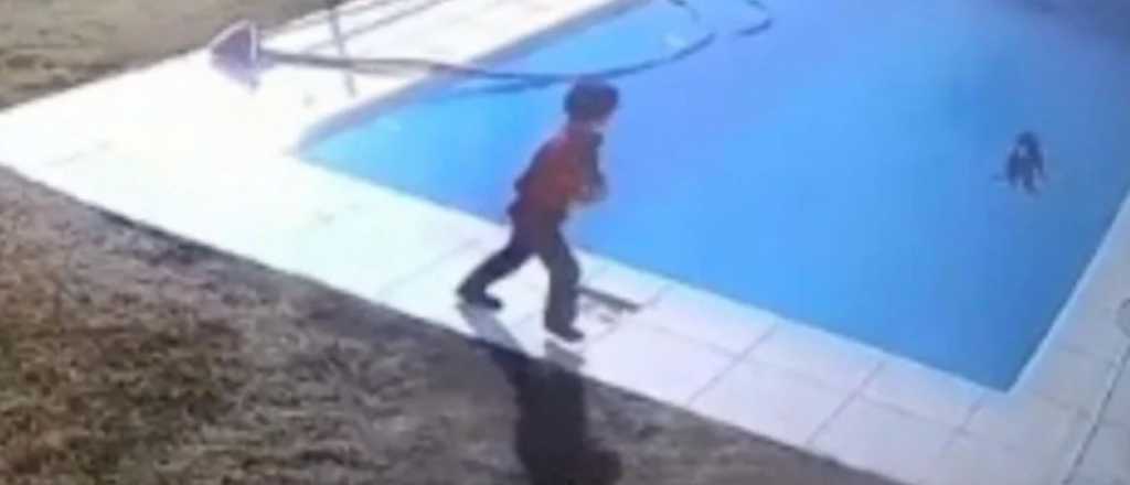 Video: un niño héroe salvo a su perro de morir ahogado en la pileta
