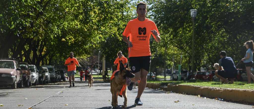 Este ser&aacute; el recorrido de la Marat&oacute;n Animal 2022 de Ciudad