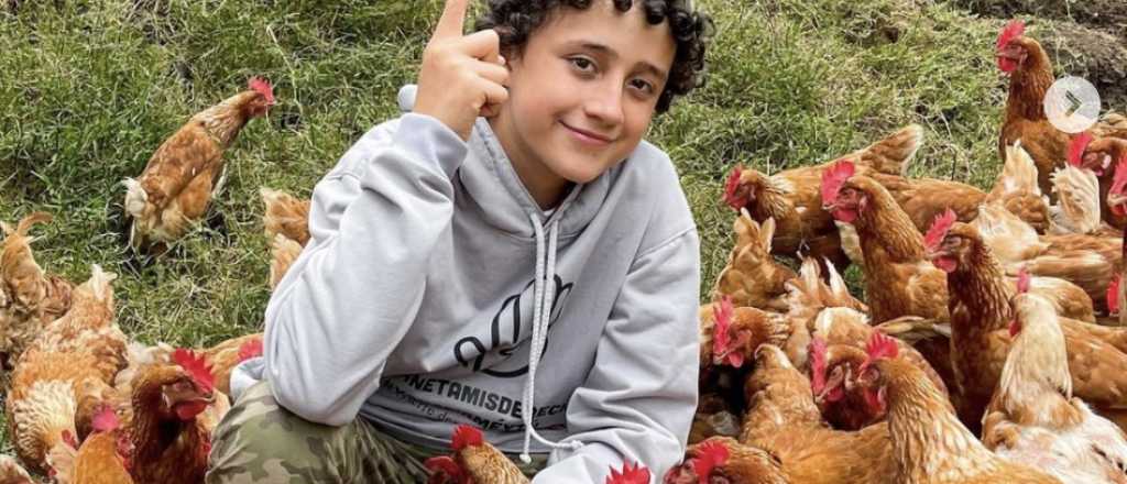 Un niño granjero le respondió a una vegana que lo criticó por criar gallinas