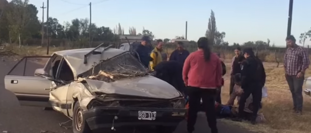 Video: el Zonda de este miércoles tiró un árbol sobre un auto en San Carlos