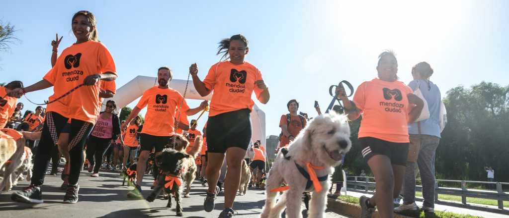 Mendoza festejó el Día del Animal con una maratón de mascotas