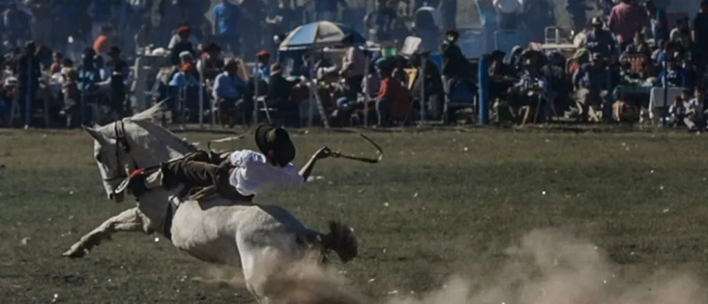 Buscan prohibir las jineteadas en Mendoza
