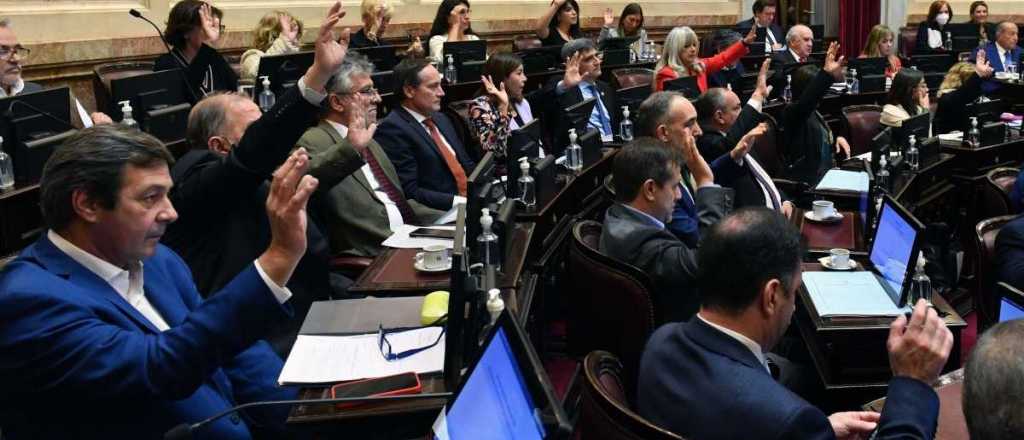 El oficialismo aprob&oacute; en el Senado la creaci&oacute;n de un fondo para pagarle al FMI con d&oacute;lares fugados