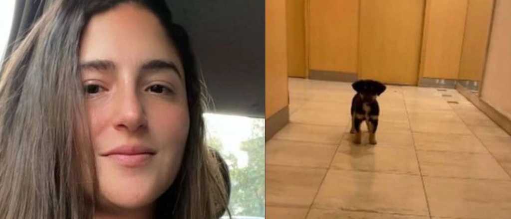 Una joven contó que le robó un perro a un indigente en Recoleta y la "destrozaron"