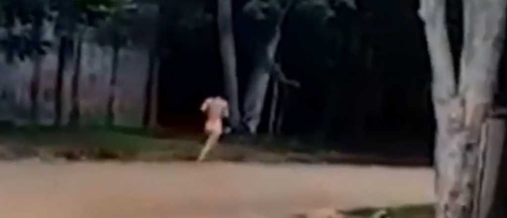 Video: durante el Censo, una mujer sali&oacute; a correr desnuda porque se drog&oacute;