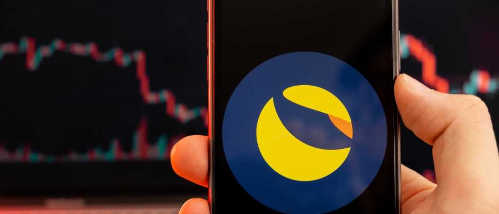 &iquest;Estafa piramidal? Fuerte acusaci&oacute;n tras abrupta ca&iacute;da cripto