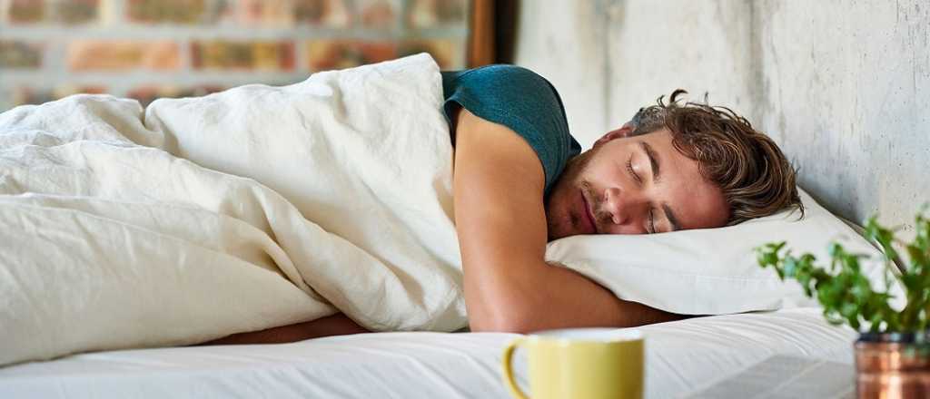 Las plantas que recomiendan los expertos para dormir mejor