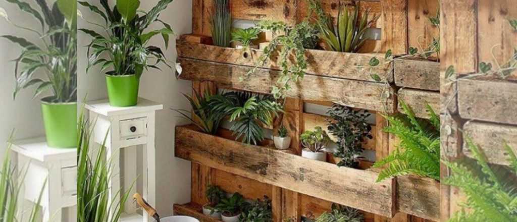 Los mejores regalos para los amantes de la jardiner&iacute;a