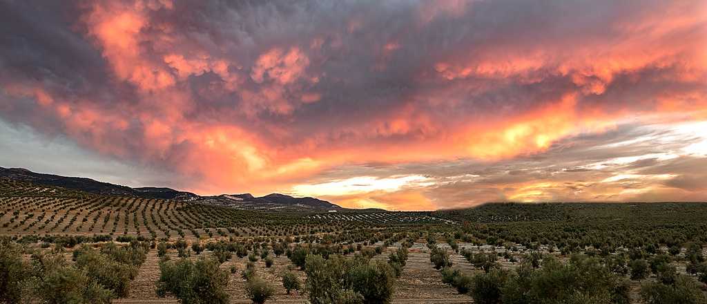 Crónicas del subsuelo: Obra Callada