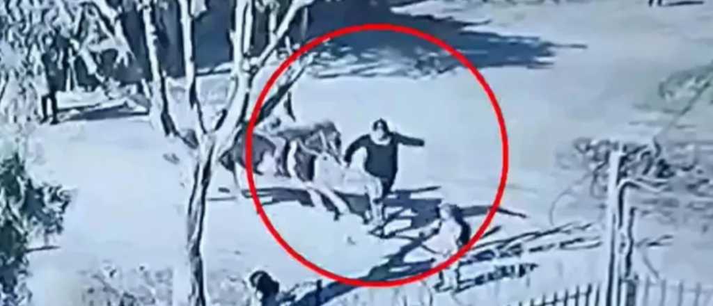 Video: un ni&ntilde;o en un caballo atropell&oacute; a dos mujeres