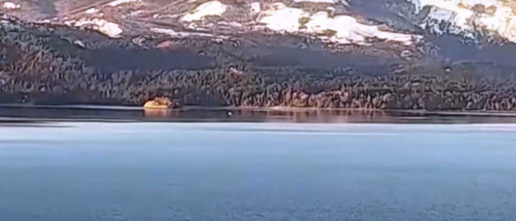 Video: vecinos dicen que filmaron al "Nahuelito" en Bariloche
