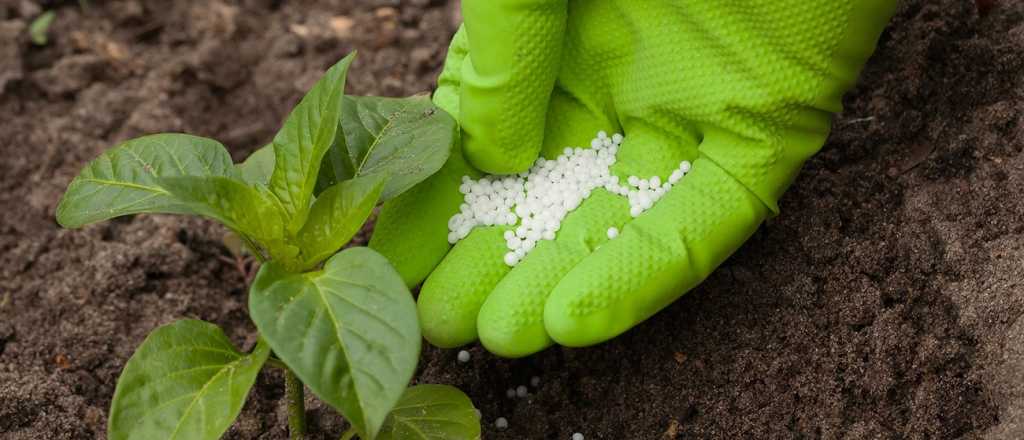 El precio del insumo que hace peligrar la producci&oacute;n del campo